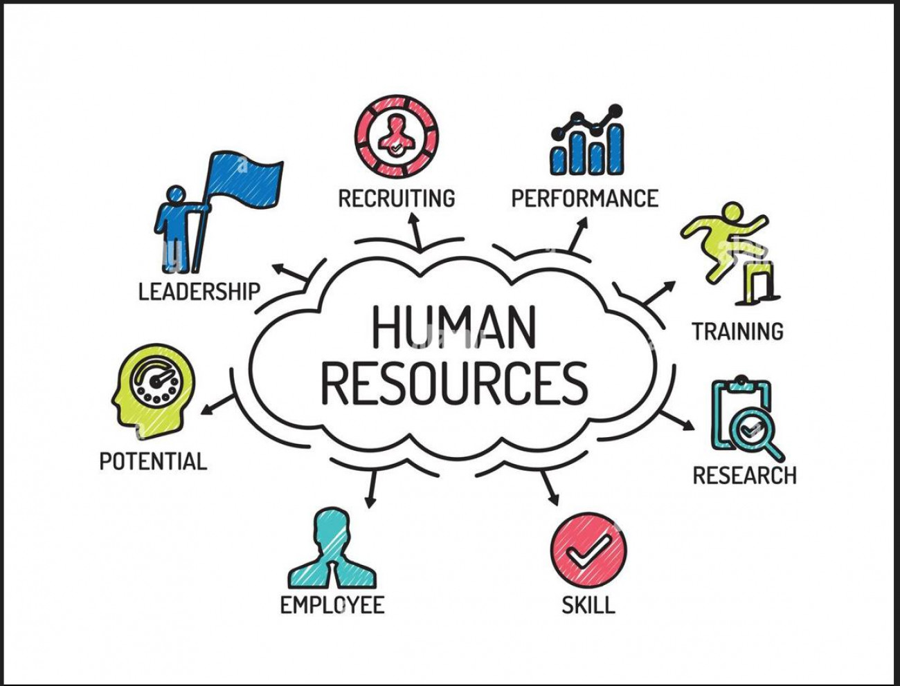 Consultant Human Resources